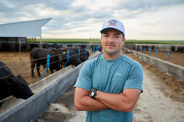 Man standing in a feedlot alley with black cattle feeding in the background